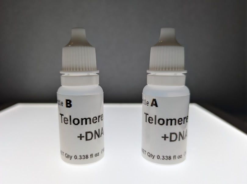 Telomere+DNA